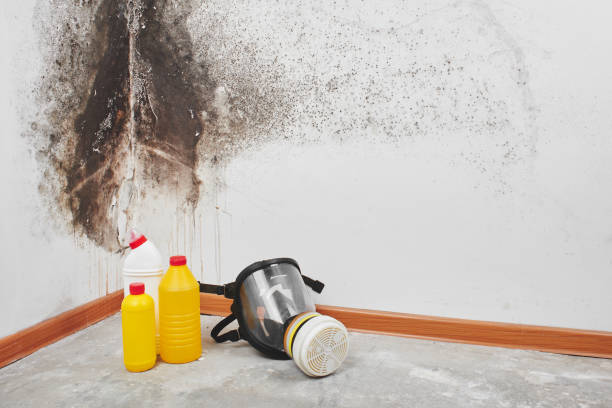 Cherry Valley, IL Mold Remediation Company